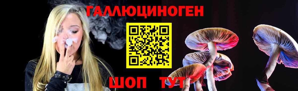 Нальчик  Галлюциногенные грибы MAGIC MUSHROOMS  Вход с VPN 
